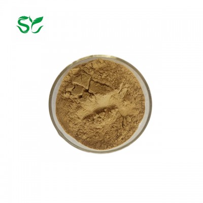 Pure natural high quality raw material portusana purslane extract